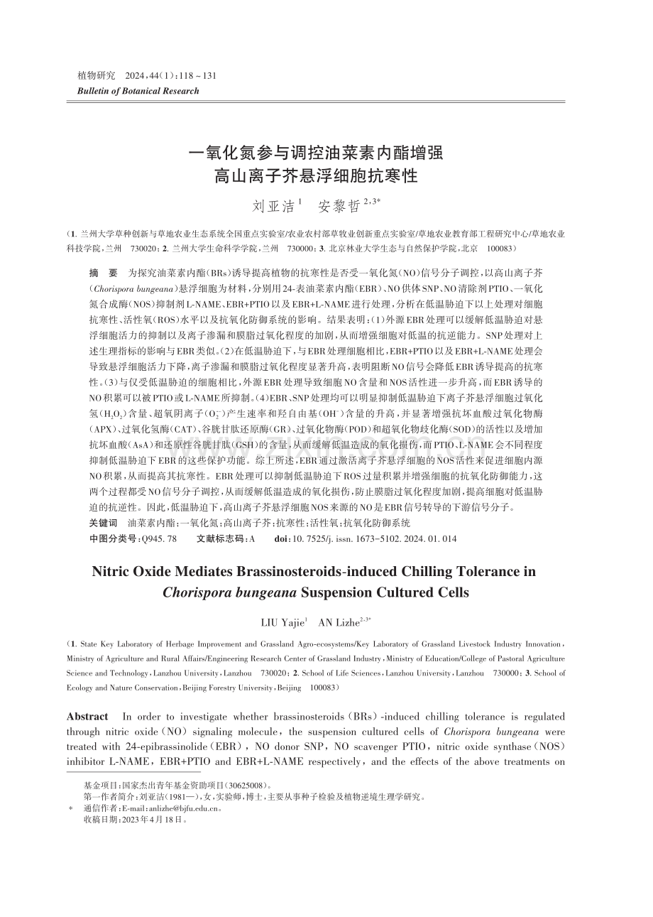 一氧化氮参与调控油菜素内酯增强高山离子芥悬浮细胞抗寒性.pdf_第1页