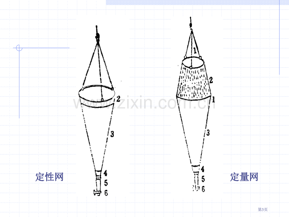 浮游生物的测定常识省公共课一等奖全国赛课获奖课件.pptx_第3页