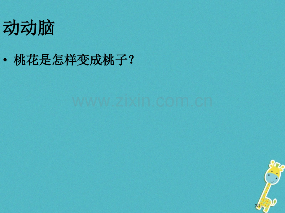 七年级生物上册第六章第三节生殖器官的生长市公开课一等奖百校联赛特等奖大赛微课金奖PPT课件.pptx_第3页