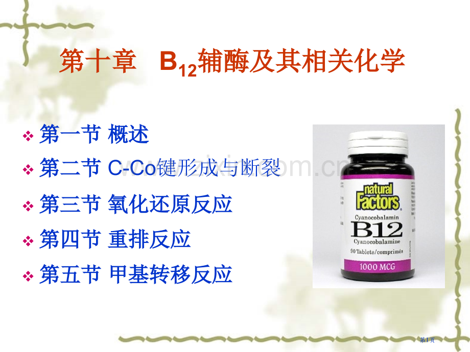 第十章B12辅酶及其相关化学省公共课一等奖全国赛课获奖课件.pptx_第1页