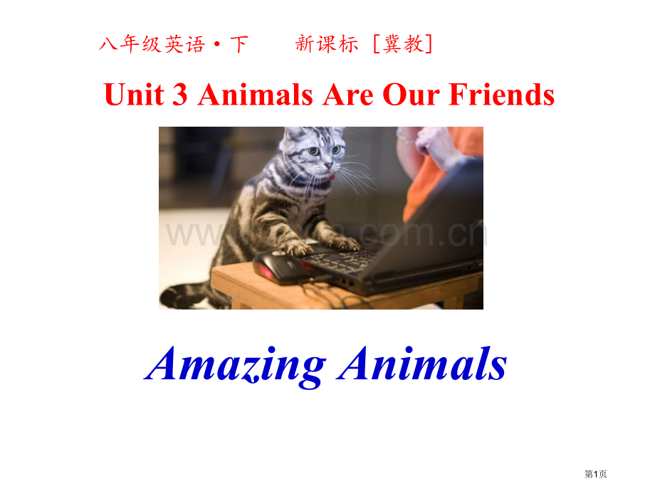 Amazing-AnimalsAnimals-Are-Our-Friends-省公开课一等奖新名师优.pptx_第1页