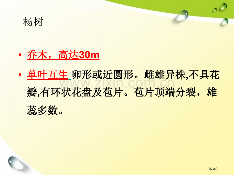 三年级科学上册校园里的植物省公共课一等奖全国赛课获奖课件.pptx_第3页