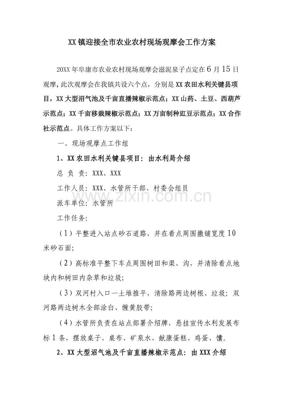 镇迎接全市农业农村现场观摩会工作专业方案.doc_第1页