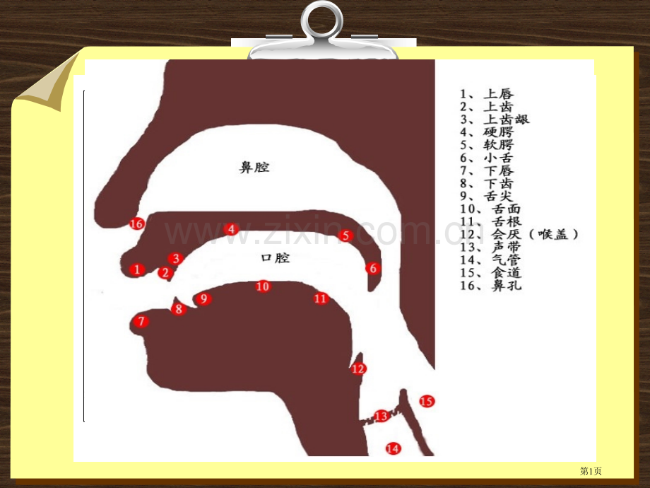 新式国际音标教学省公共课一等奖全国赛课获奖课件.pptx_第1页