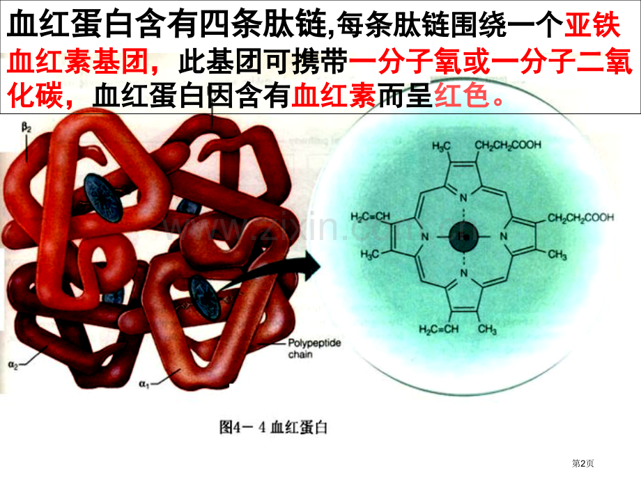 人教版教学生物选修1之蛋白质的提取和分离省公共课一等奖全国赛课获奖课件.pptx_第2页