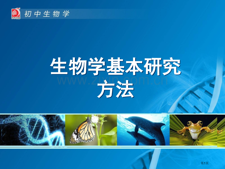 生物学的基本研究方法省公共课一等奖全国赛课获奖课件.pptx_第1页