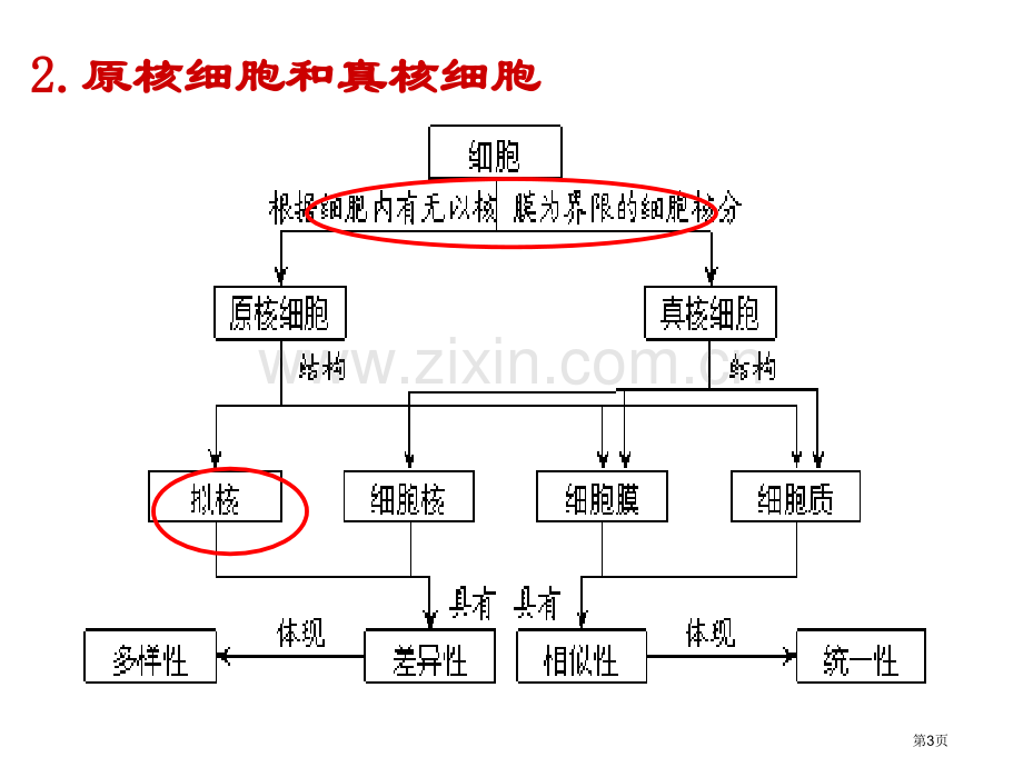 生物必修一概念图省公共课一等奖全国赛课获奖课件.pptx_第3页