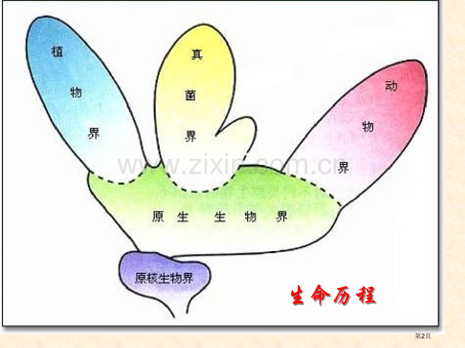 生物现代生物进化理论的主要内容人教版必修市公开课一等奖百校联赛特等奖课件.pptx_第2页