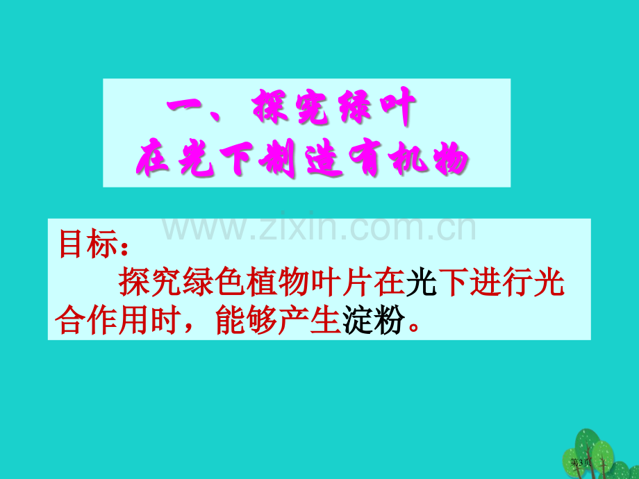 七年级生物上册第三单元第四章绿色植物是生物圈中有机物的制造者讲义1市公开课一等奖百校联赛特等奖大赛微.pptx_第3页