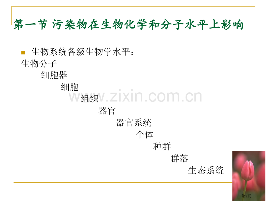 污染物对生物的影响省公共课一等奖全国赛课获奖课件.pptx_第2页