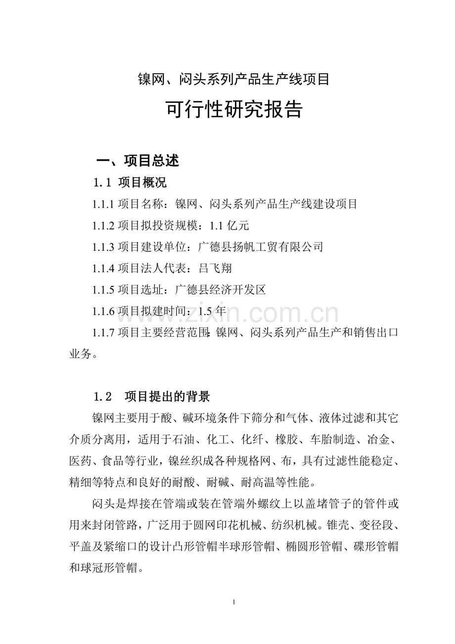 镍网、闷头系列产品生产线项目可行性研究报告.doc_第2页