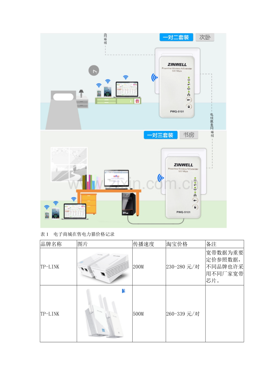 电力猫调研分析报告.doc_第3页