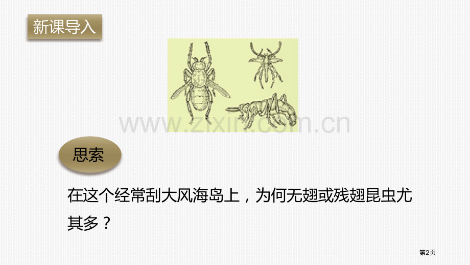 生物进化的原因教学课件省公开课一等奖新名师优质课比赛一等奖课件.pptx_第2页