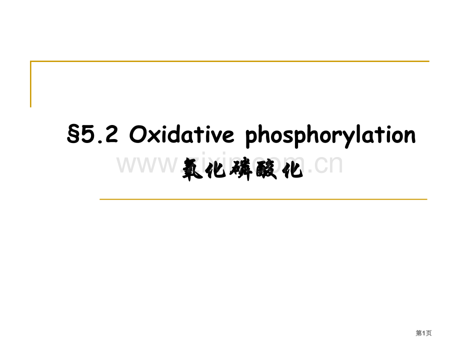 生物氧化(3)省公共课一等奖全国赛课获奖课件.pptx_第1页