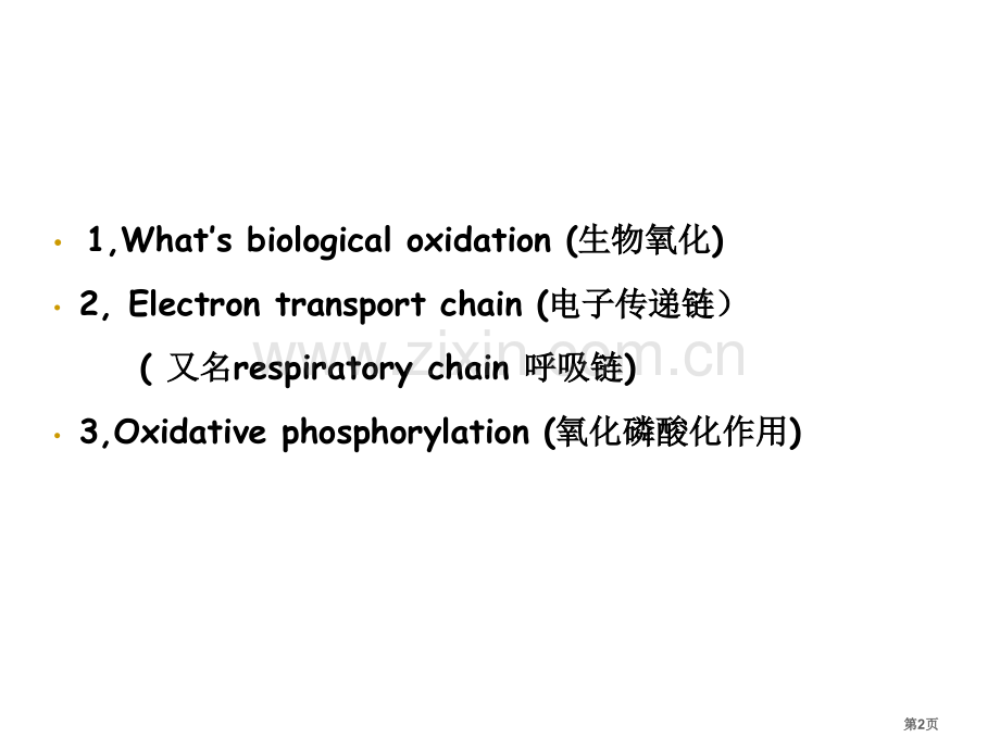 生物氧化(3)省公共课一等奖全国赛课获奖课件.pptx_第2页