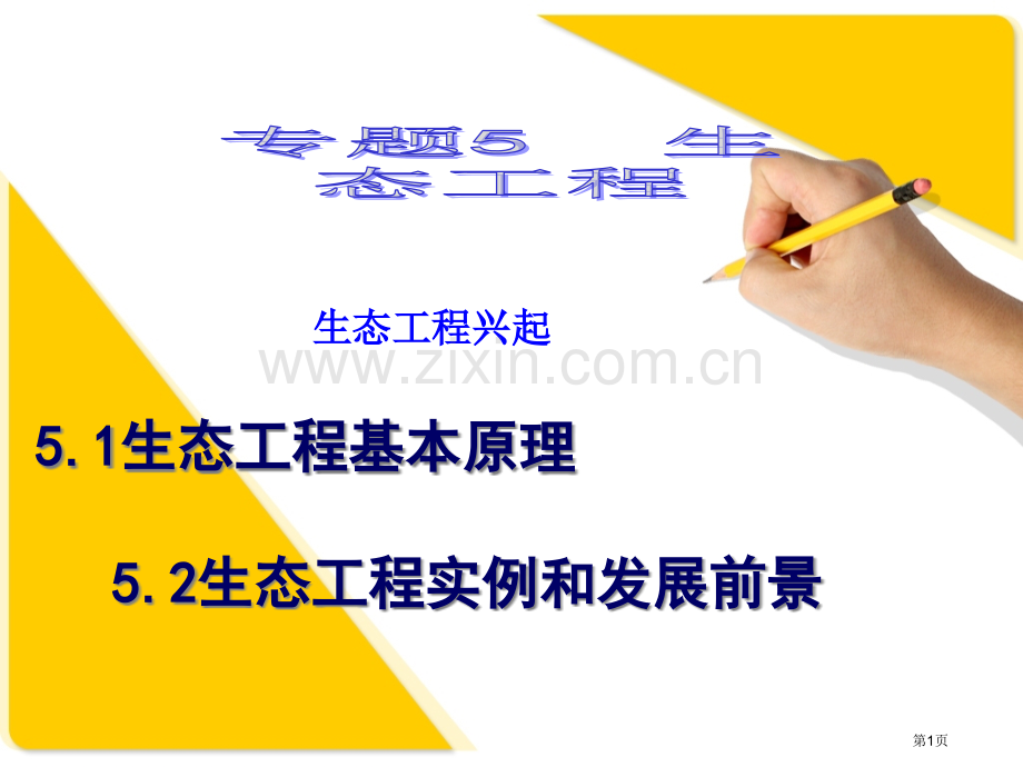 人教版教学生态工程的基本原理定稿省公共课一等奖全国赛课获奖课件.pptx_第1页