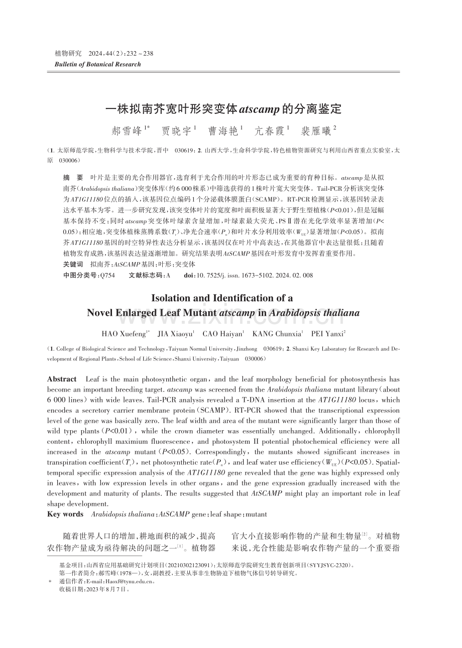 一株拟南芥宽叶形突变体atscamp的分离鉴定.pdf_第1页