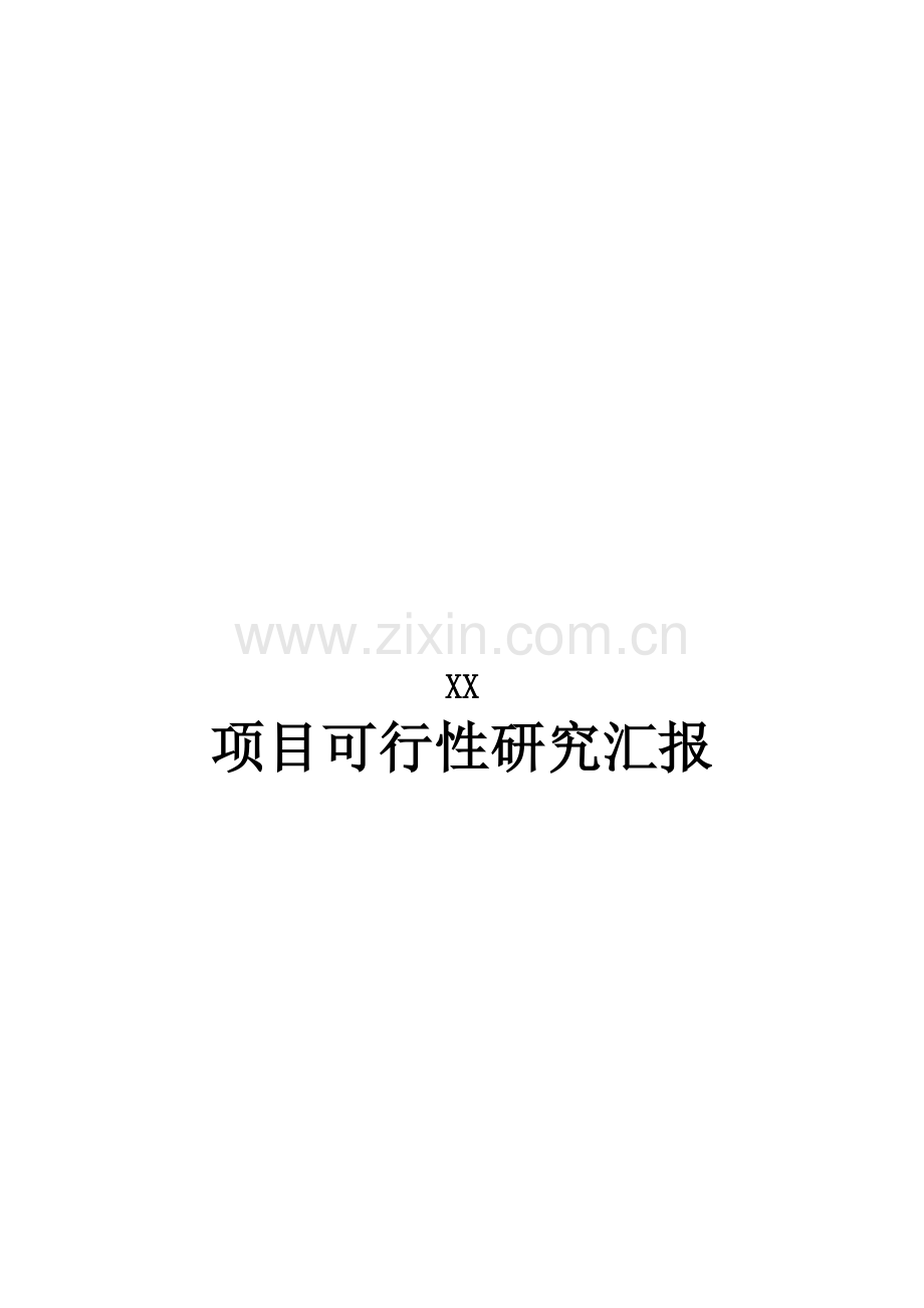 项目可行性研究报告.doc_第1页