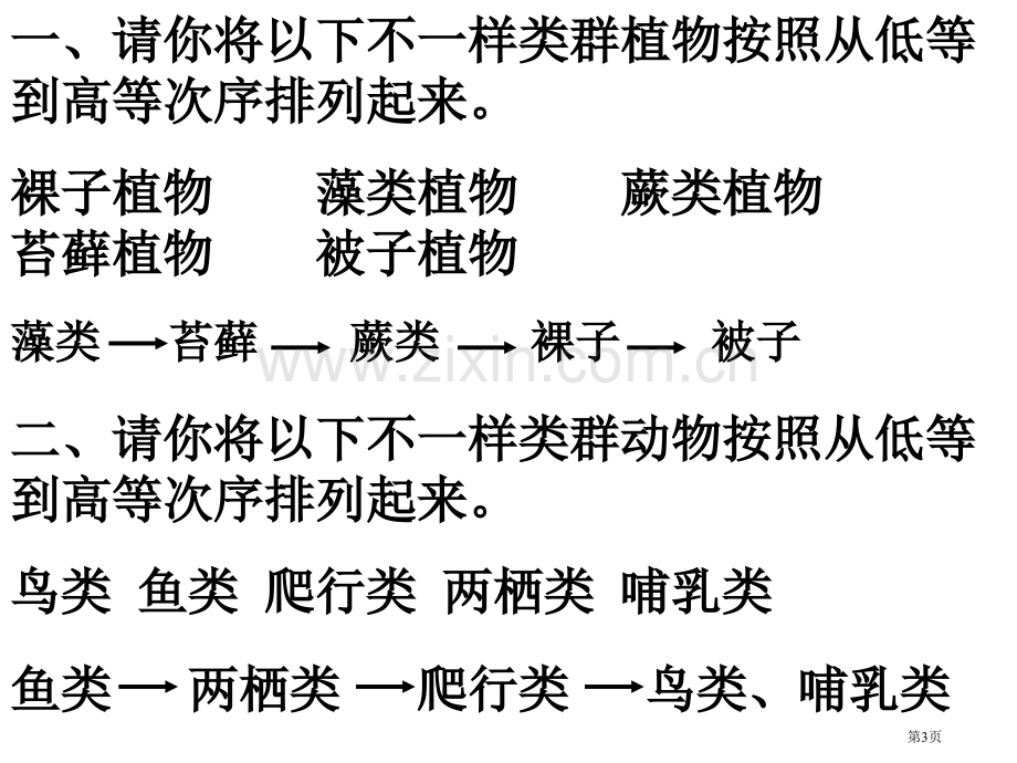 生物进化的历程市公开课一等奖百校联赛获奖课件.pptx_第3页