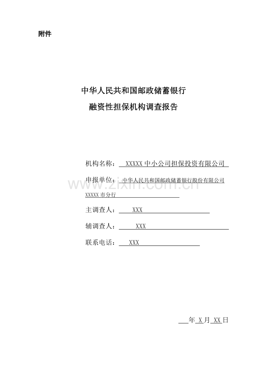 案例模式融资性担保机构调查研究报告示例.doc_第1页