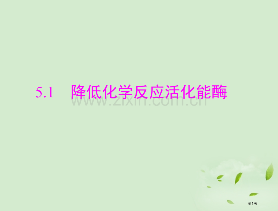 轮复习—降低化学反应活化能的酶省公共课一等奖全国赛课获奖课件.pptx_第1页