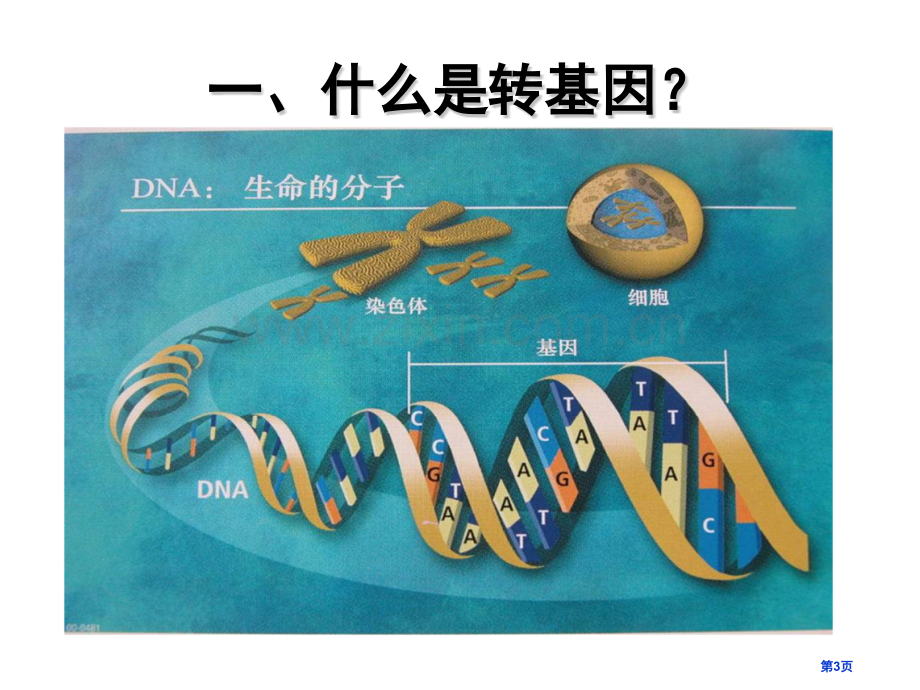 转基因技术和生物安全省公共课一等奖全国赛课获奖课件.pptx_第3页