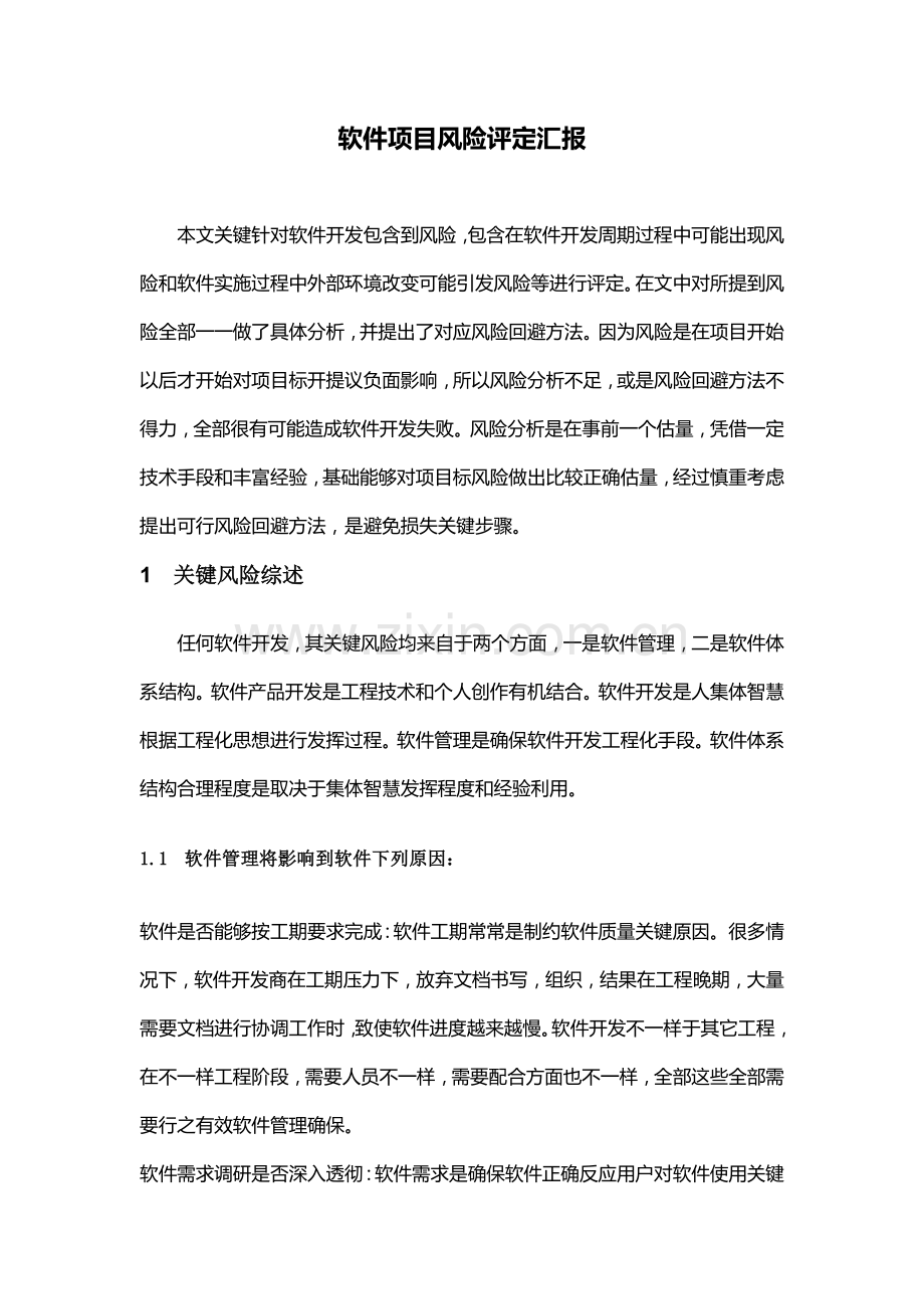 资料软件优质项目风险综合评估报告.docx_第1页