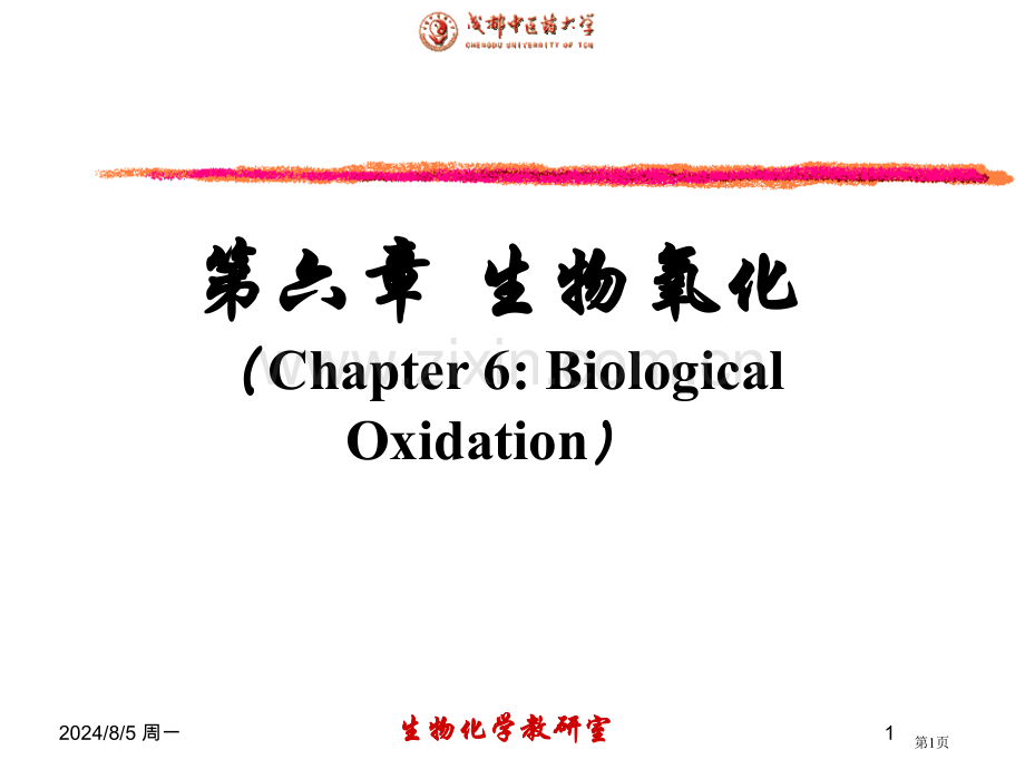 生物化学生物氧化市公开课一等奖百校联赛特等奖课件.pptx_第1页