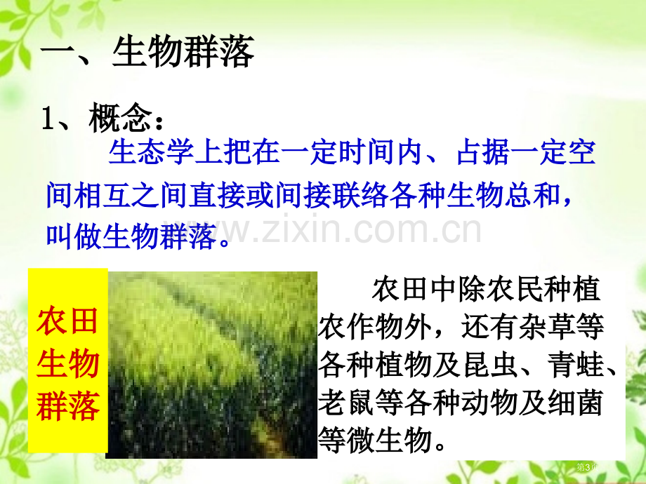 生物群落的构成专题教育课件省公共课一等奖全国赛课获奖课件.pptx_第3页