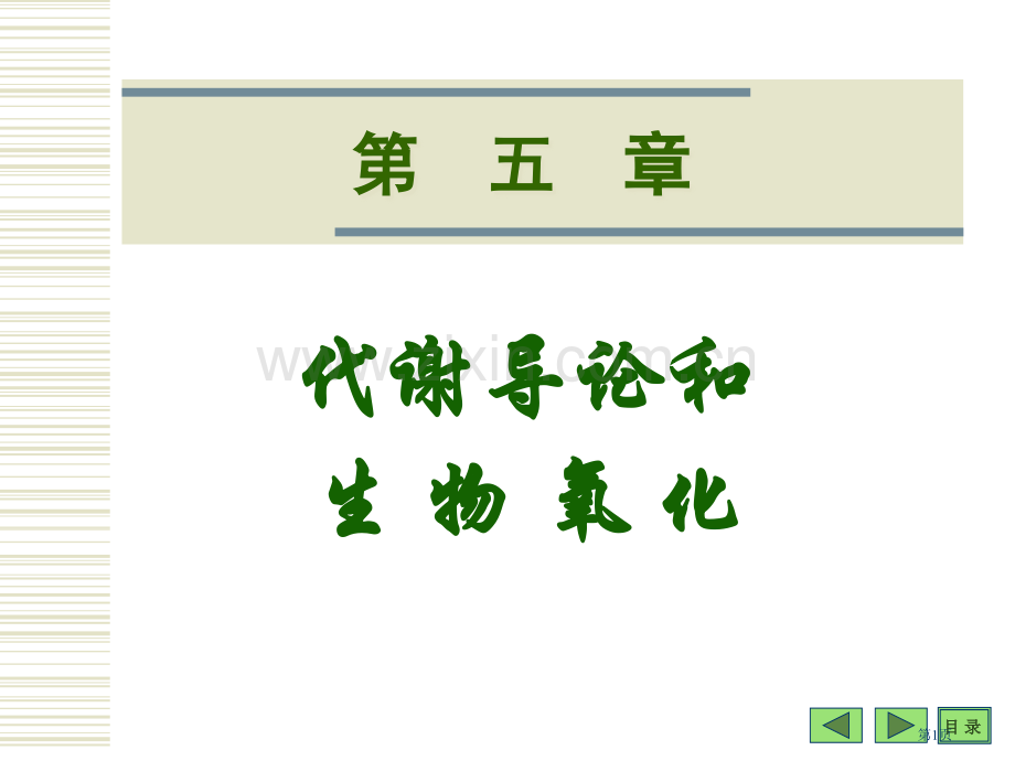 生物氧化理工大省公共课一等奖全国赛课获奖课件.pptx_第1页