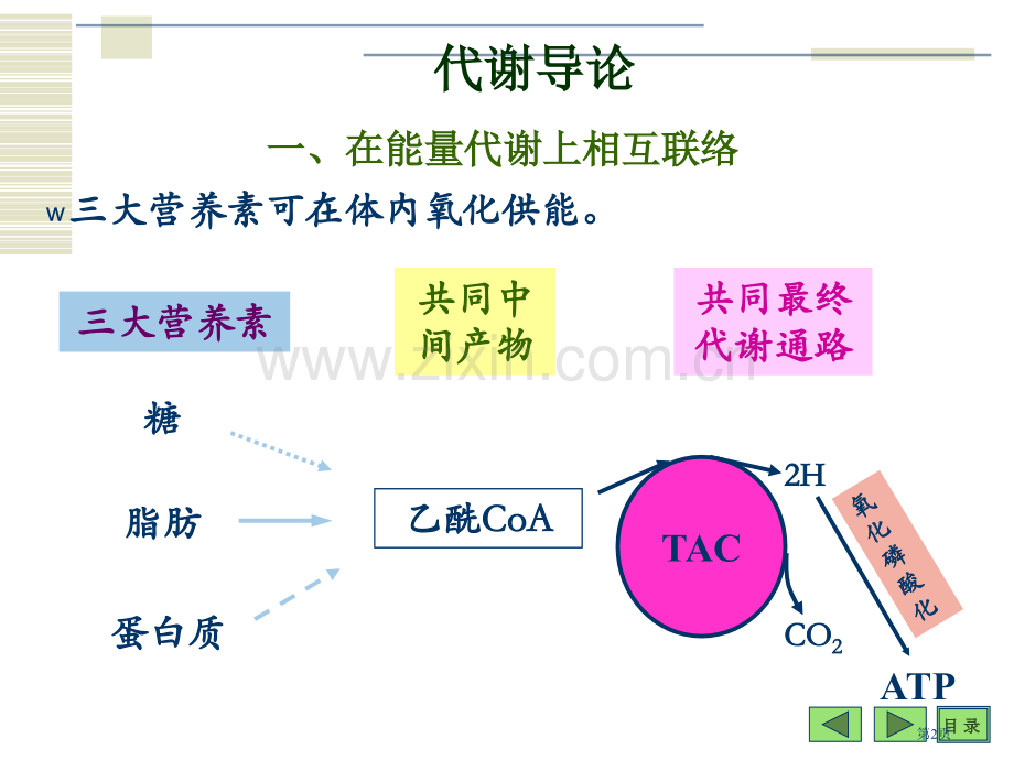 生物氧化理工大省公共课一等奖全国赛课获奖课件.pptx_第2页