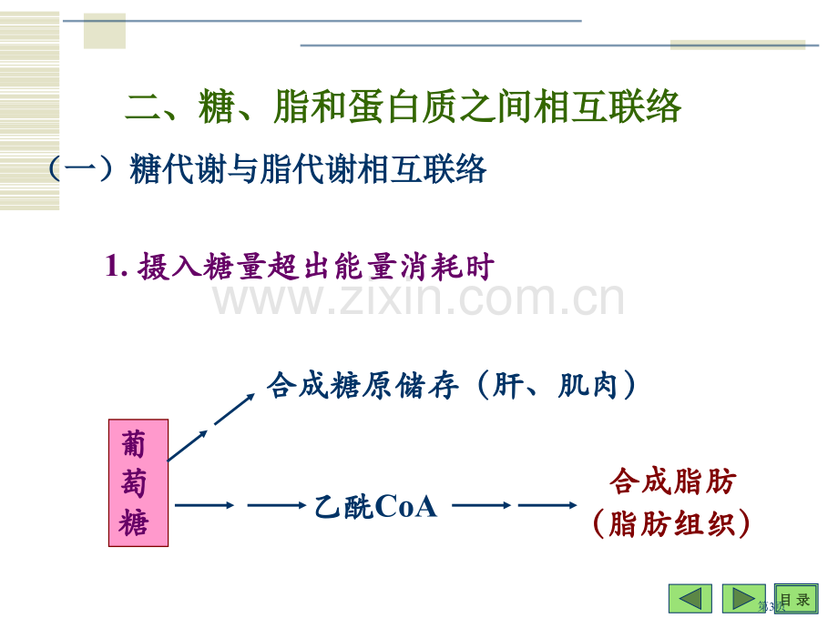 生物氧化理工大省公共课一等奖全国赛课获奖课件.pptx_第3页