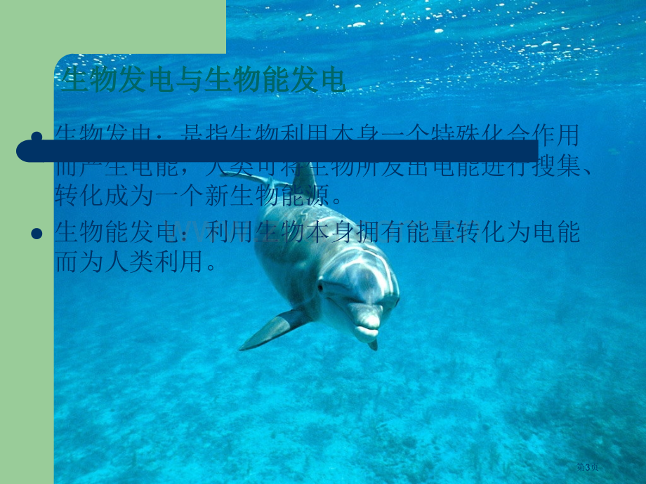 生物能发电介绍省公共课一等奖全国赛课获奖课件.pptx_第3页