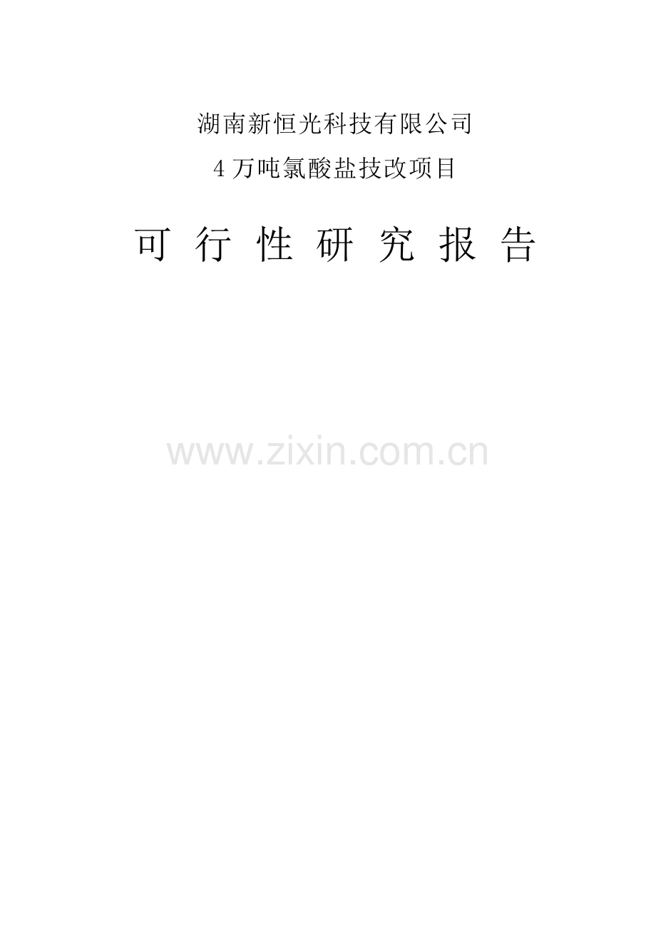 年产4万吨氯酸盐技改项目建设可行性研究报告.doc_第1页