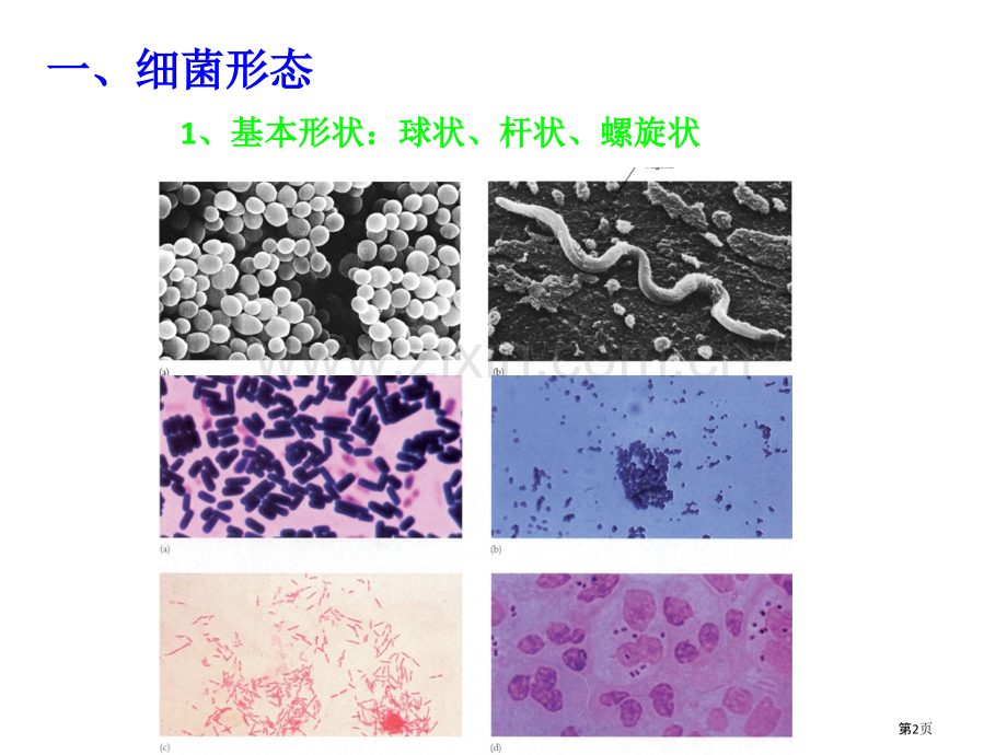 水生生物学主题知识讲座省公共课一等奖全国赛课获奖课件.pptx_第2页