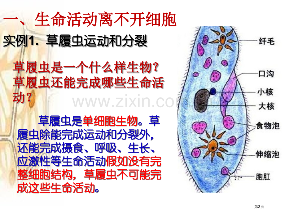 从生物圈到细胞区市公开课一等奖百校联赛获奖课件.pptx_第3页