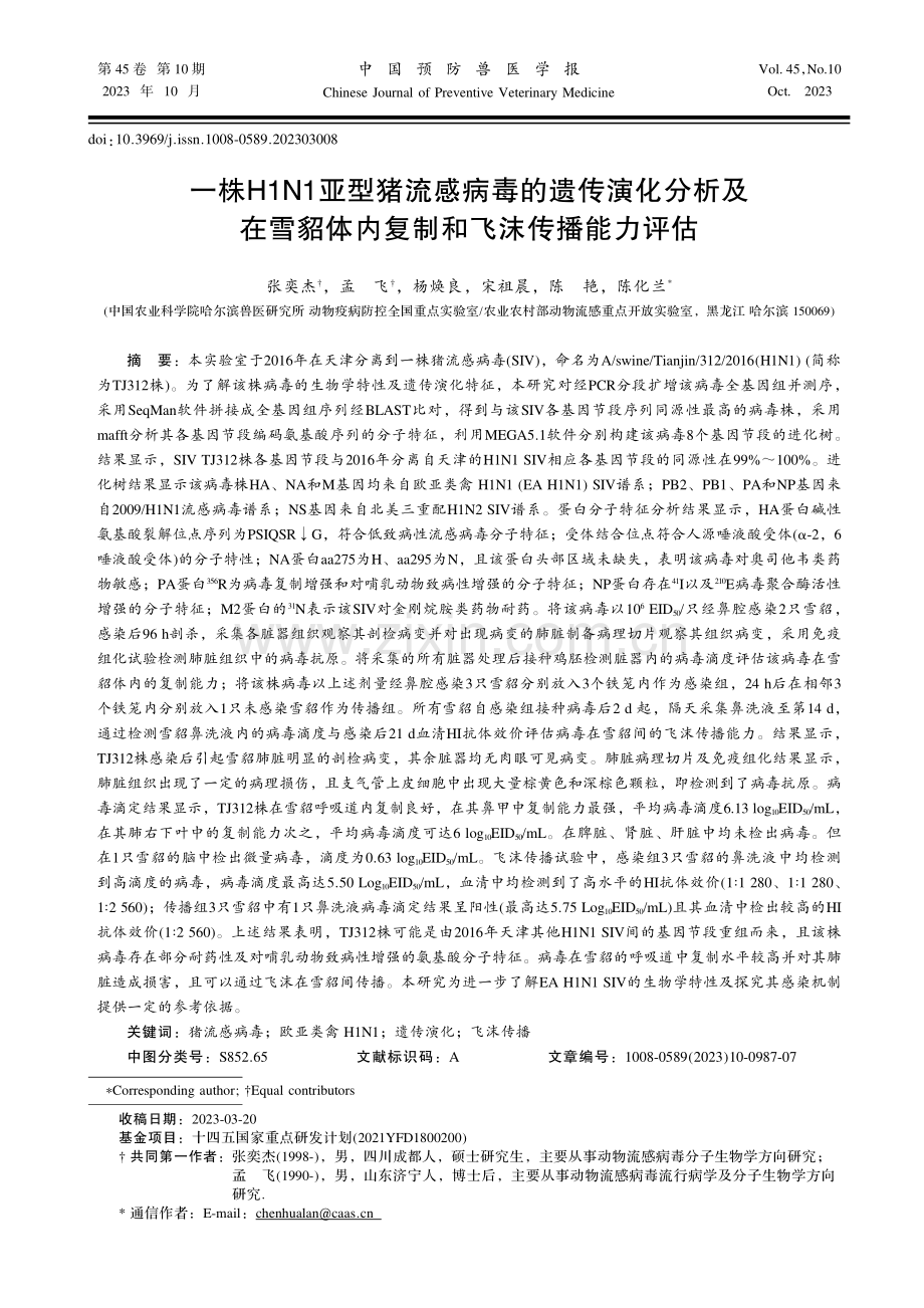 一株H1N1亚型猪流感病毒的遗传演化分析及在雪貂体内复制和飞沫传播能力评估.pdf_第1页