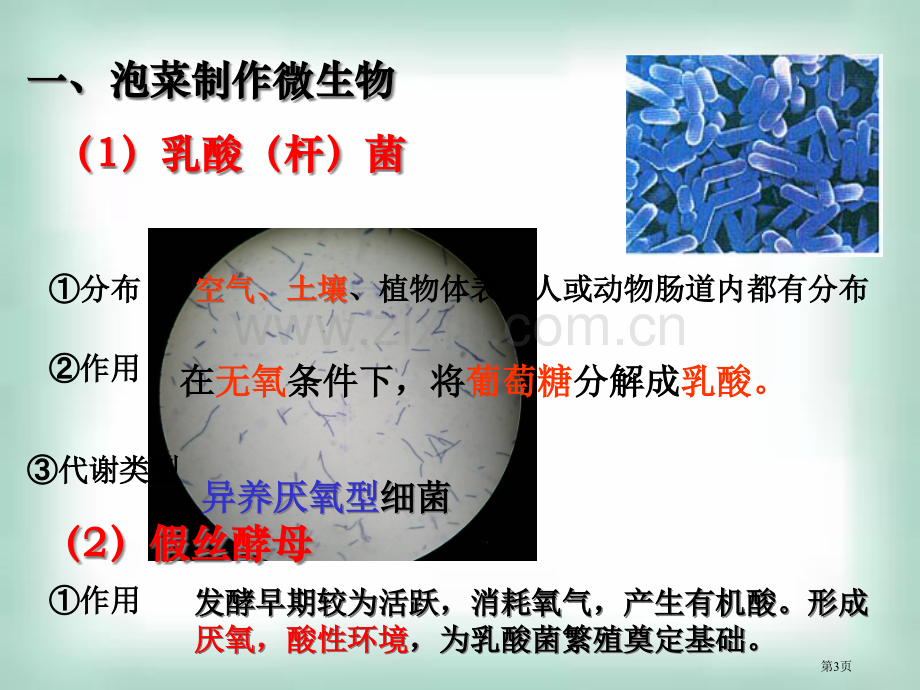 生物选修泡菜的腌制和亚硝酸的测定省公共课一等奖全国赛课获奖课件.pptx_第3页