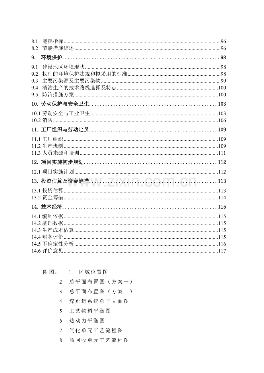 甲醇项目可行性研究报告.doc_第2页