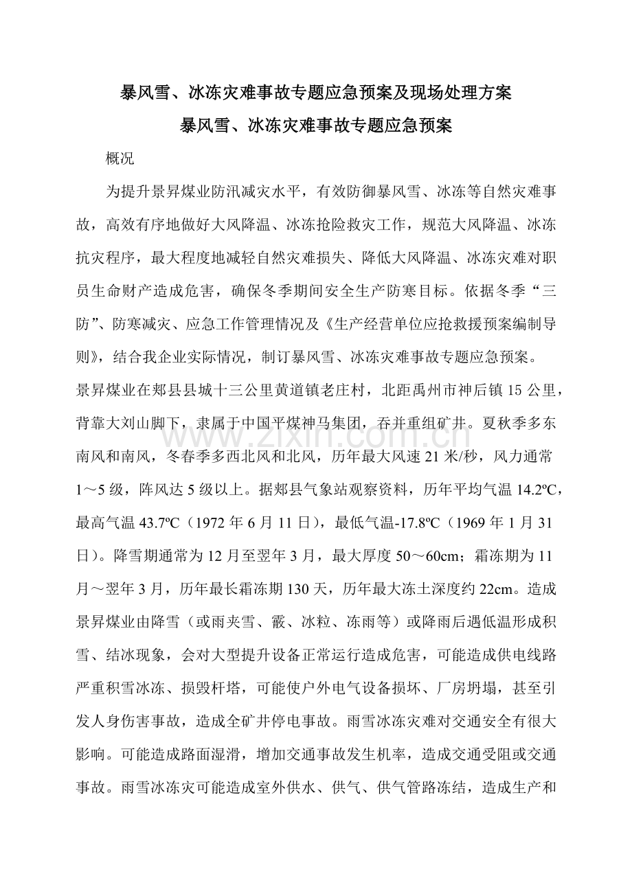 暴风雪应急专项预案及处置专项方案.docx_第1页