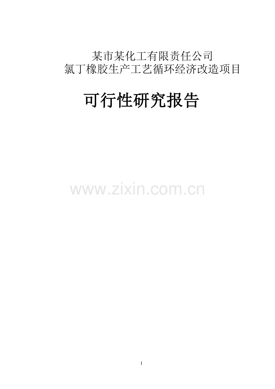 氯丁橡胶生产工艺循环经济改造项目申请立项可行性研究报告(优秀可行性研究报告102页).doc_第1页