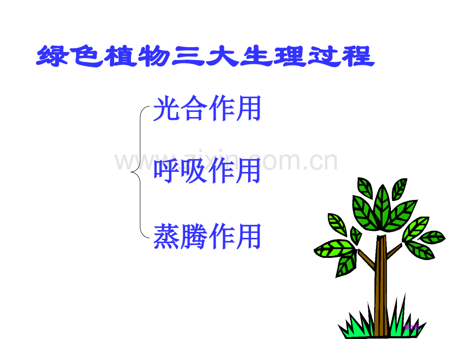 绿色植物三大作用复习市公开课一等奖百校联赛获奖课件.pptx_第2页