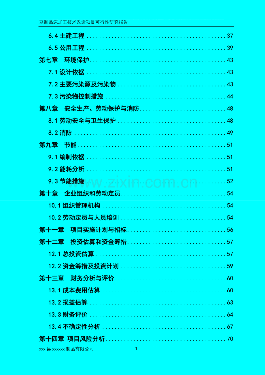 豆制品深加工技术改造项目申请立项可行性研究报告.doc_第2页