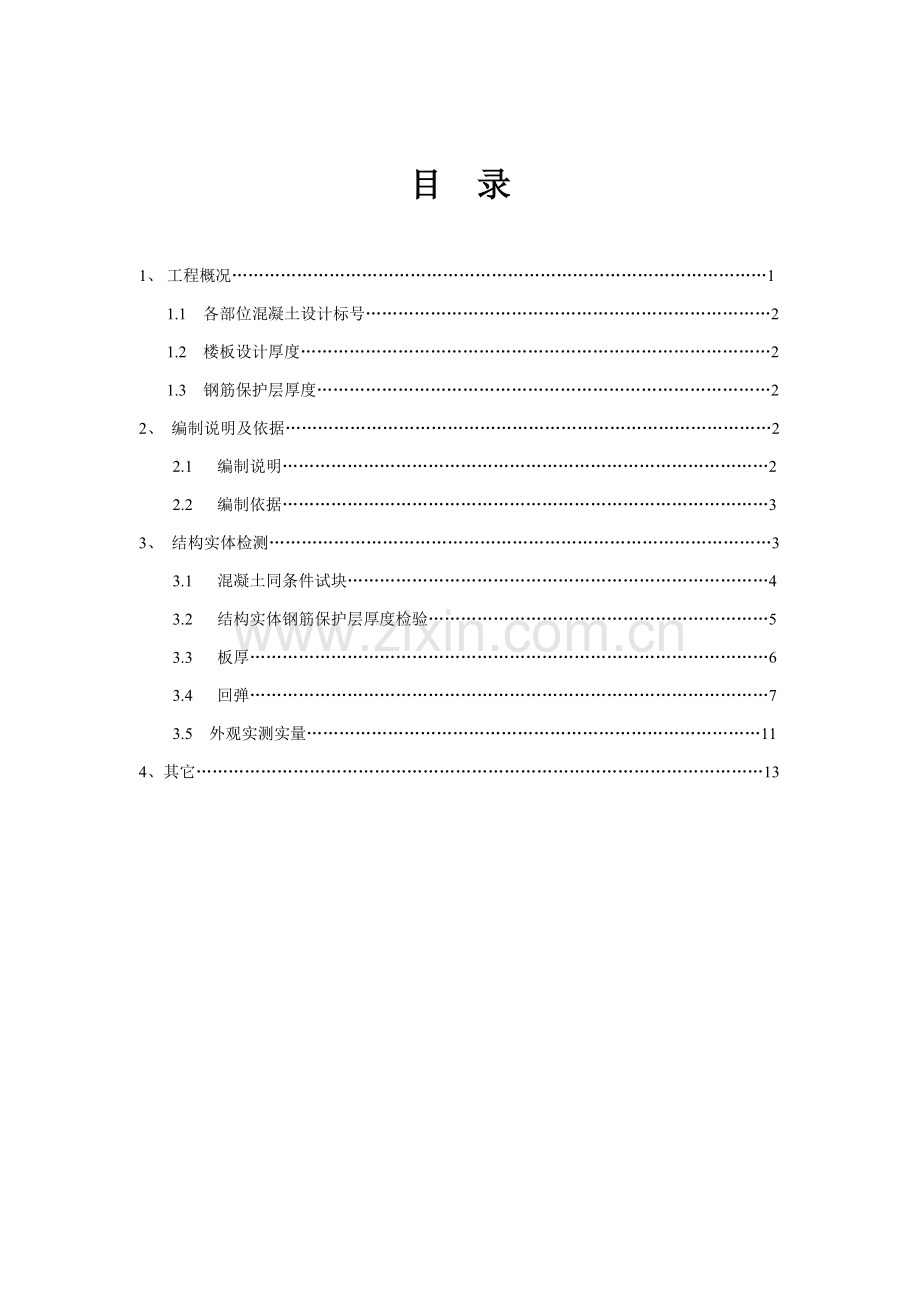 混凝土结构实体检测专业方案.doc_第1页