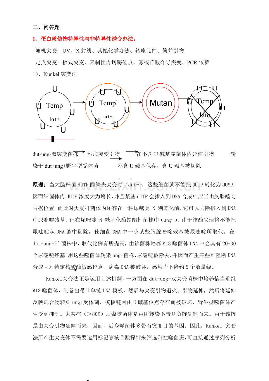 蛋白质综合项目工程重点.doc_第2页