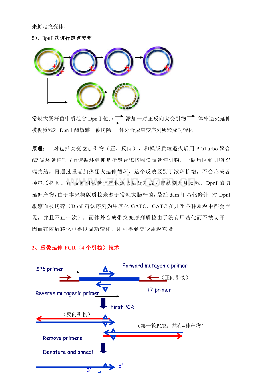 蛋白质综合项目工程重点.doc_第3页