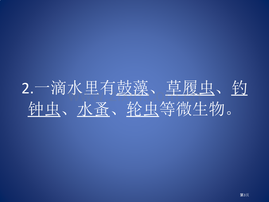 水滴里的生物市公开课一等奖百校联赛获奖课件.pptx_第3页