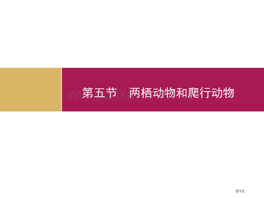 教案两栖动物和爬行动物省公共课一等奖全国赛课获奖课件.pptx_第1页