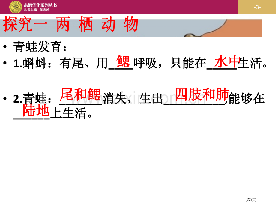 教案两栖动物和爬行动物省公共课一等奖全国赛课获奖课件.pptx_第3页