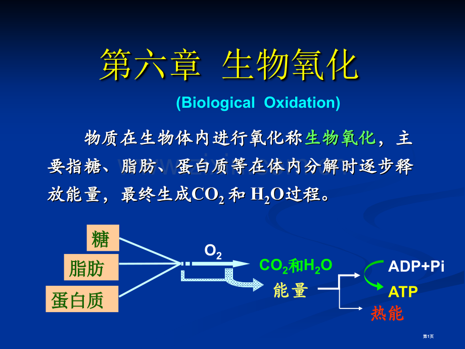 生物氧化(2)省公共课一等奖全国赛课获奖课件.pptx_第1页